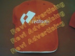 Revi advertising 14